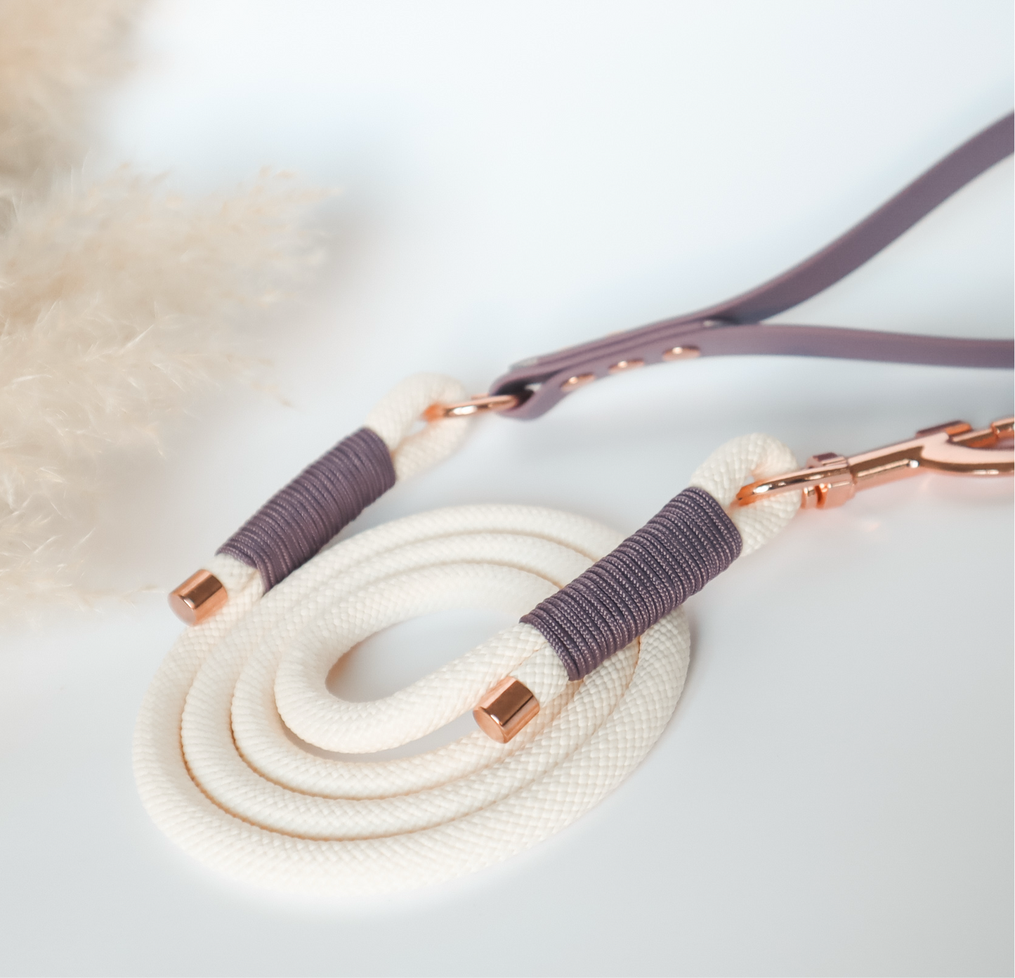 Paracord Leash ─ Plum Elegance