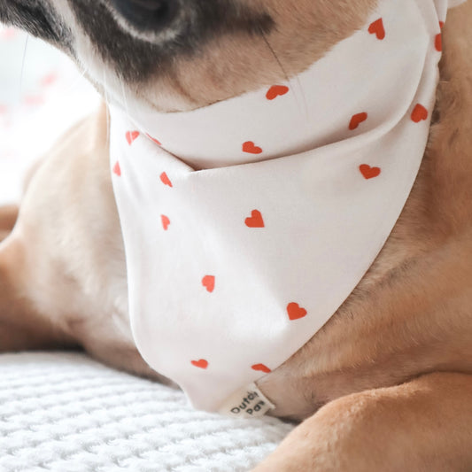 Be My Valentine  ─ Scrunchie Bandana