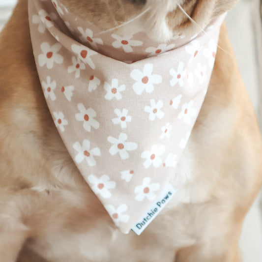 Floral Eden ─ Scrunchie Bandana