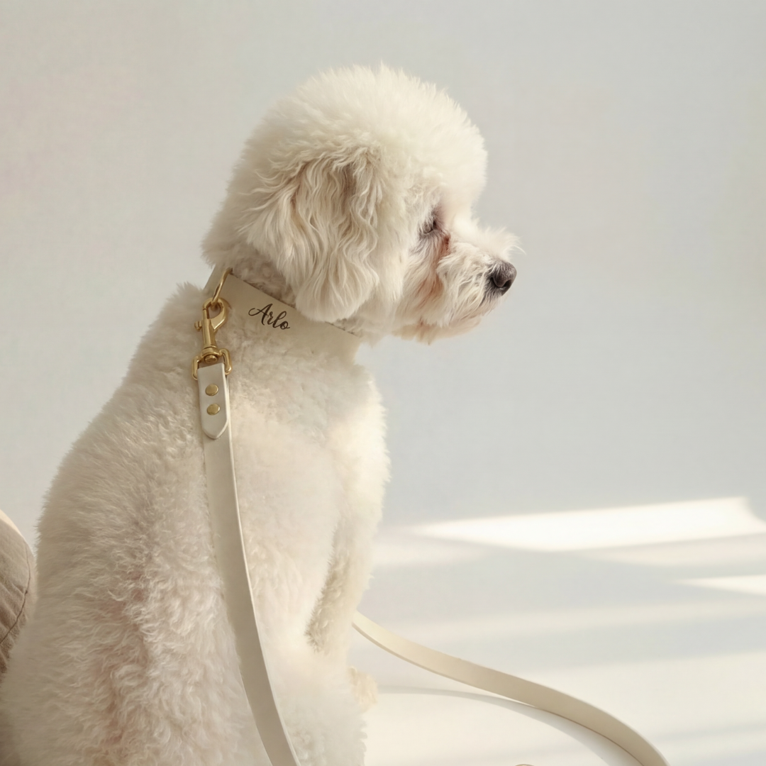 Walking Set ─ Crème