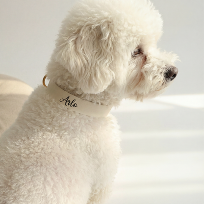 Waterproof Collar ─ Crème