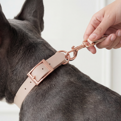 Waterproof Leash ─ Nude