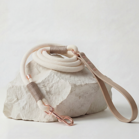 Paracord Leash ─ Nude Elegance
