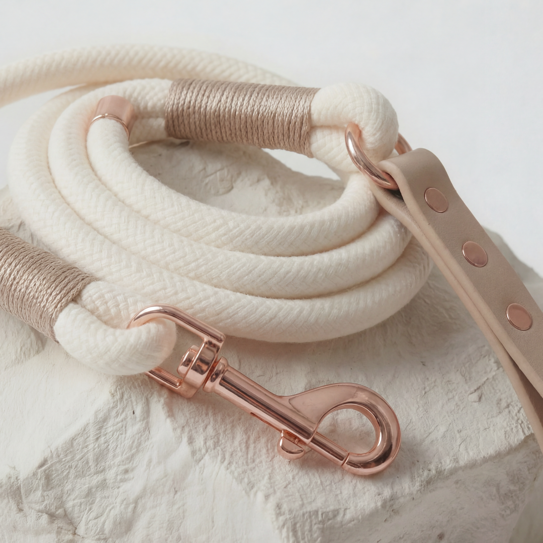 Paracord Leash ─ Nude Elegance