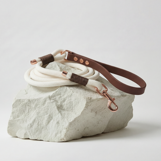 Paracord Leash ─ Earthy Elegance