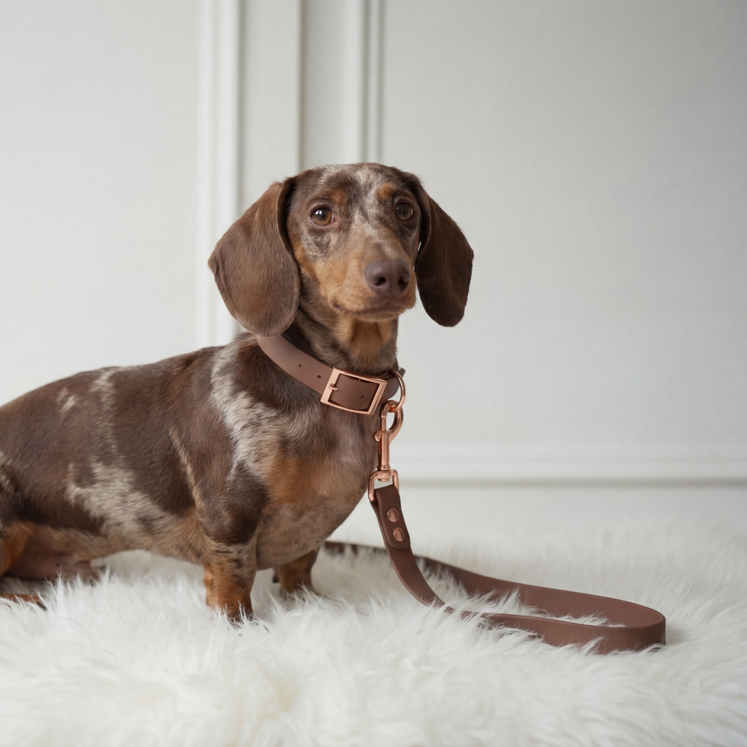 Waterproof Leash ─ Chestnut