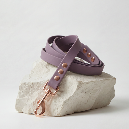 Waterproof Leash ─ Plum