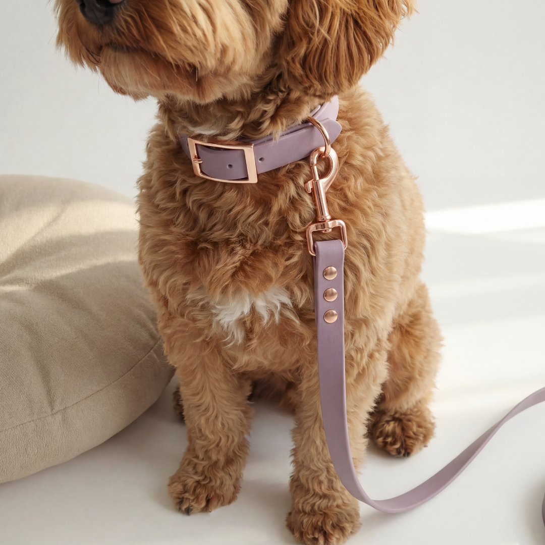 Waterproof Leash ─ Plum