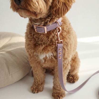 Waterproof Leash ─ Plum