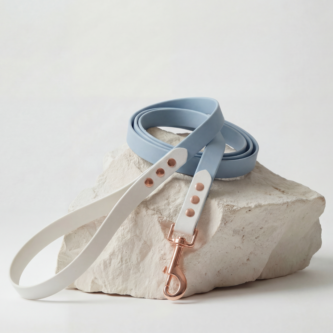 Waterproof Leash ─ Coral Coast