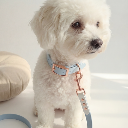 Waterproof Leash ─ Coral Coast