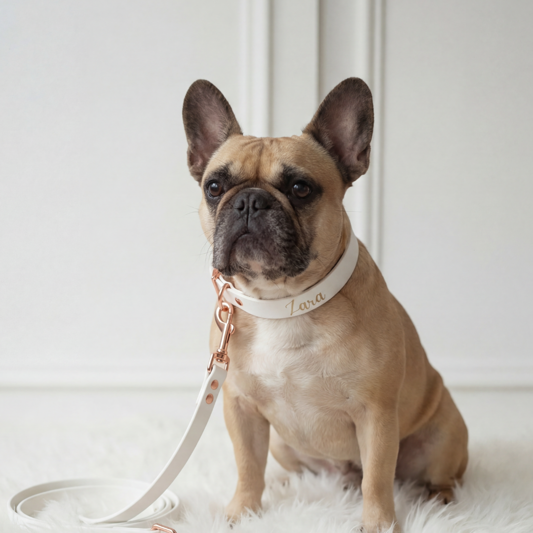 Waterproof Leash ─ Marshmallow White