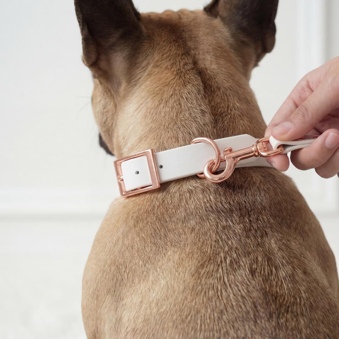 Waterproof Leash ─ Marshmallow White