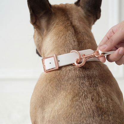 Waterproof Leash ─ Marshmallow White