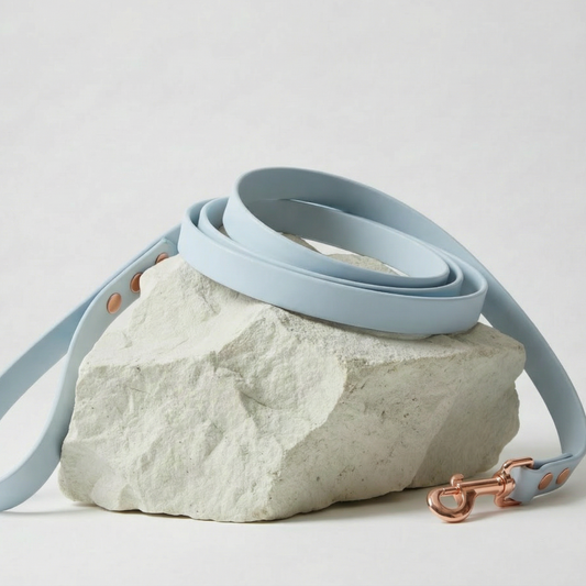 Waterproof Leash ─ Bluebell