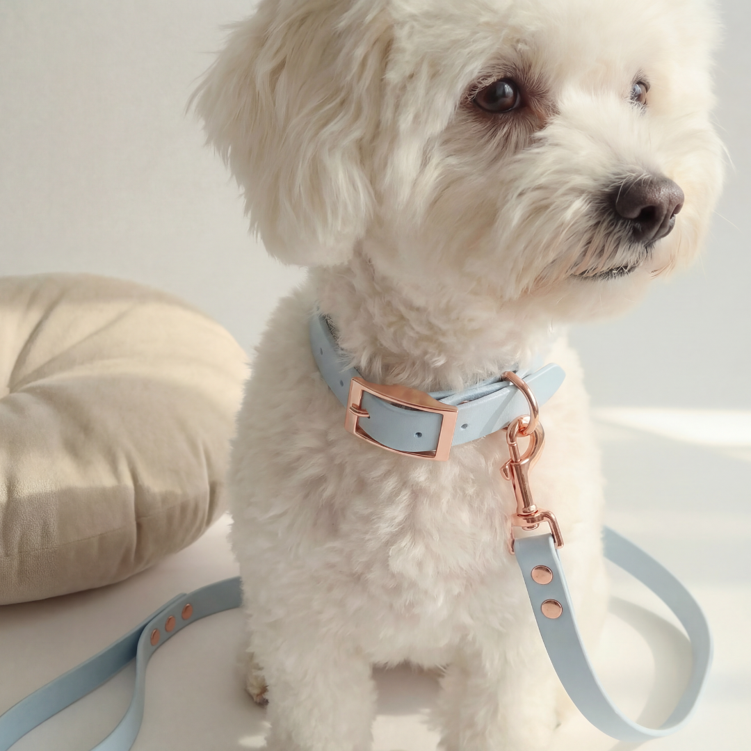 Waterproof Leash ─ Bluebell