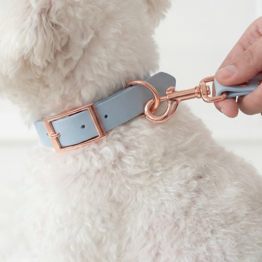 Waterproof Leash ─ Bluebell