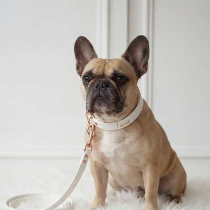 Waterproof Collar ─ Marshmallow White