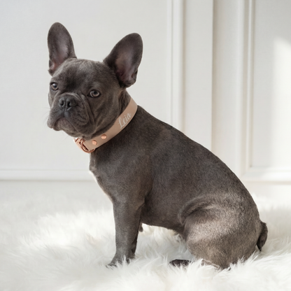 Waterproof Collar ─ Nude