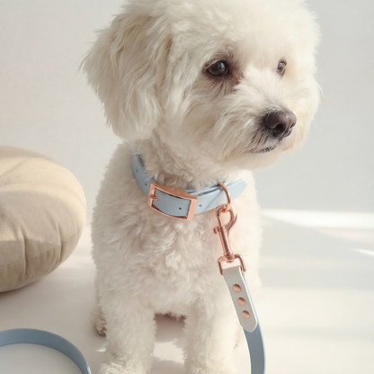 Waterproof Collar ─ Bluebell