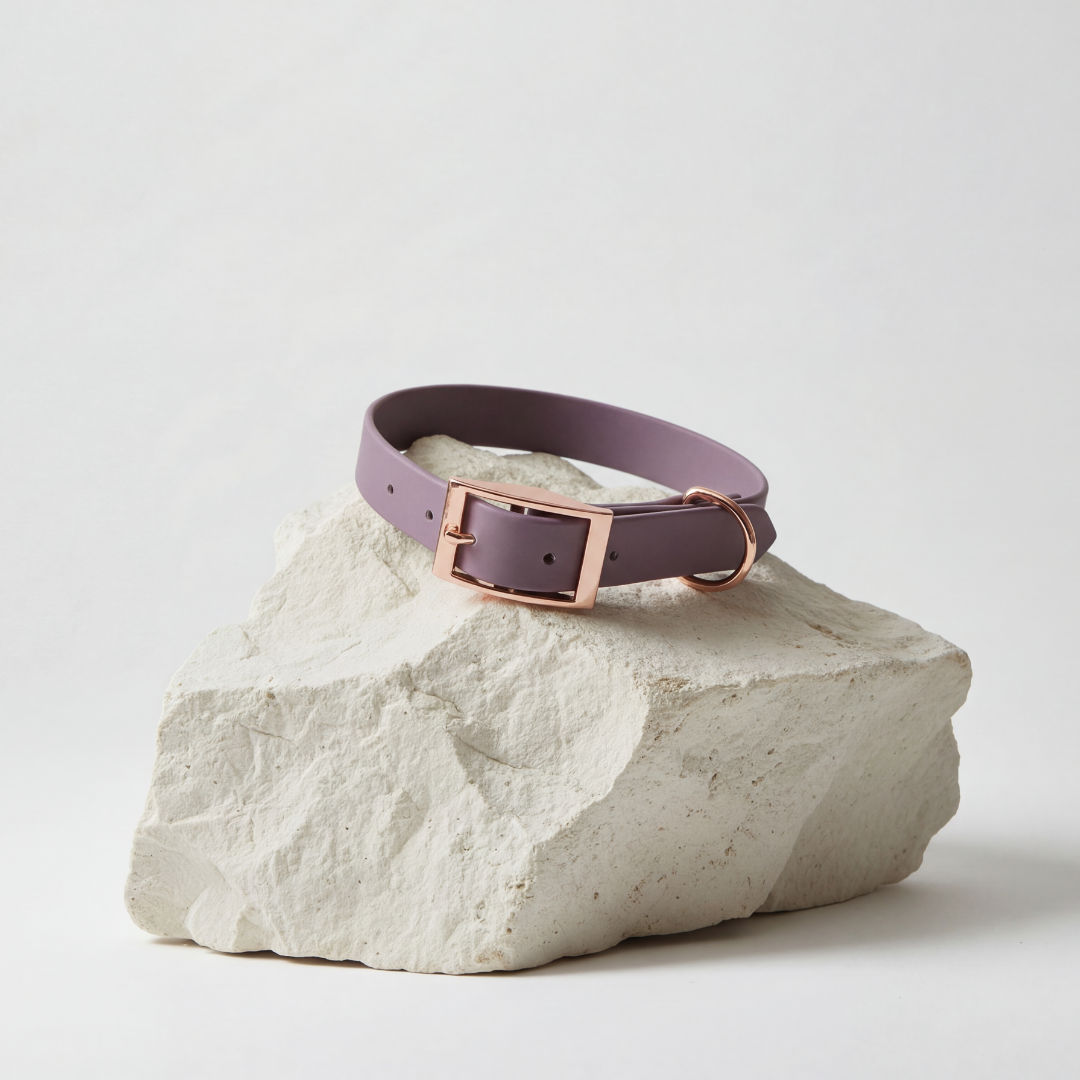 Waterproof Collar ─ Plum