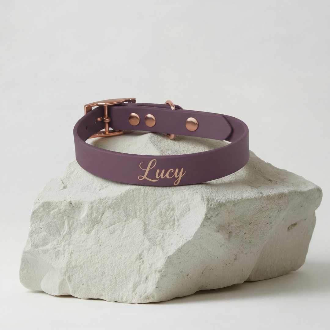 Waterproof Collar ─ Plum