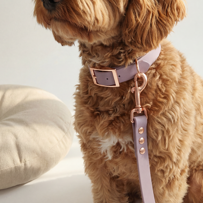 Walking Set ─ Plum