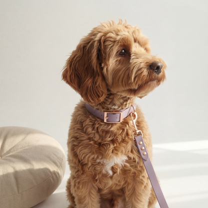 Waterproof Collar ─ Plum