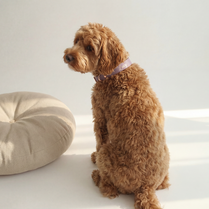 Waterproof Collar ─ Plum