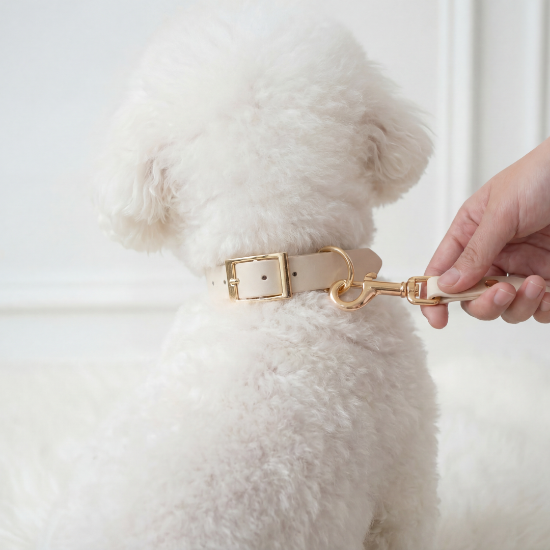 Walking Set ─ Crème