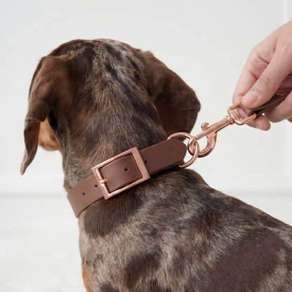 Walking Set ─ Chestnut