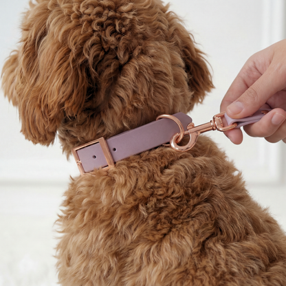 Walking Set ─ Plum