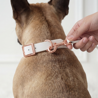 Walking Set ─ Marshmallow White