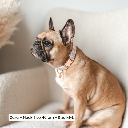 Regular Collar ─ Floral Eden