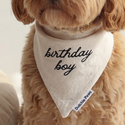 Dog wearing a 'birthday boy' bandana sitting on a white surface with a beige pillow.