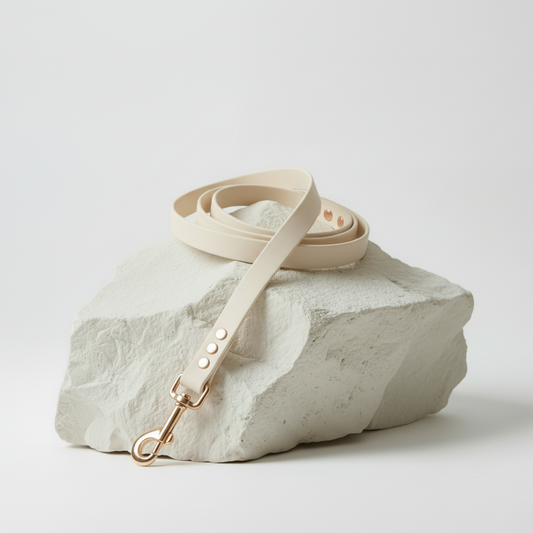 Leash on a stone surface with a light background