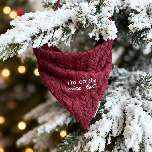 Christmas Bandana ─ Winter Berry