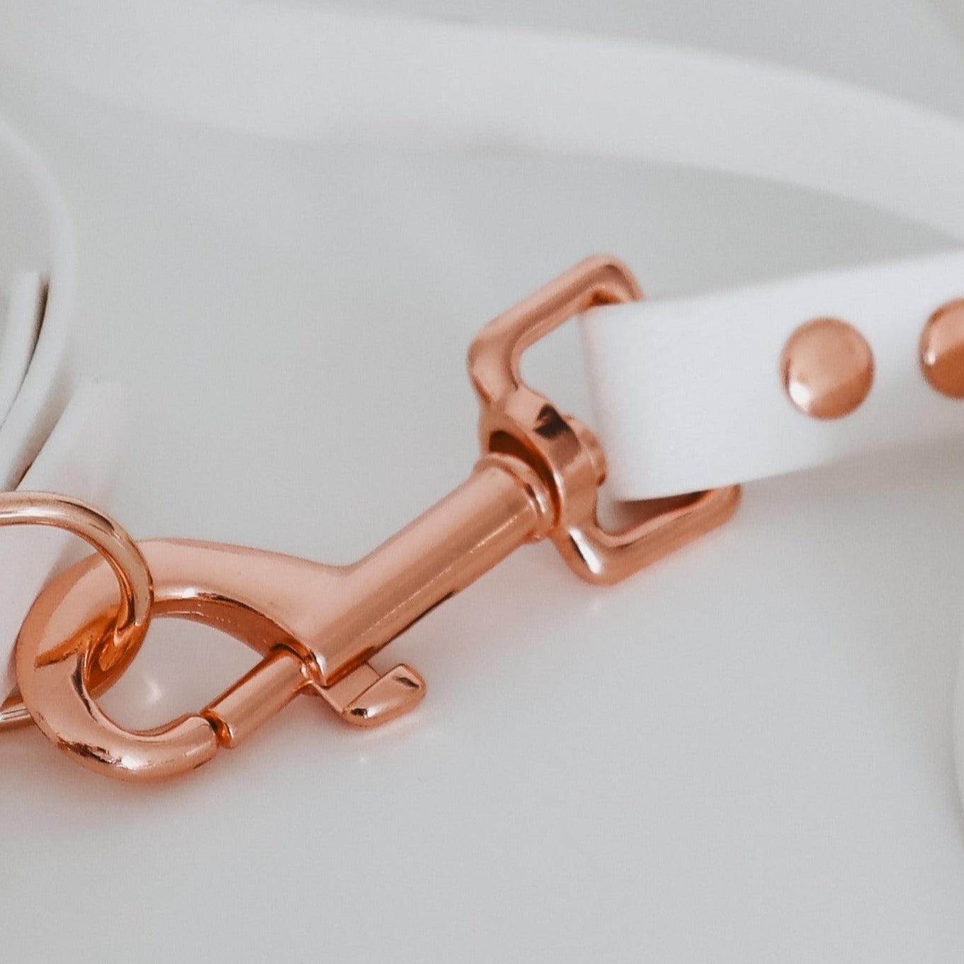 Handmade Waterproof White Pet leash. Personalizable with pet's name 