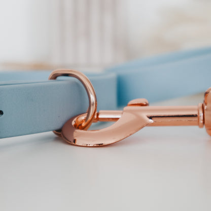 Handmade Waterproof Blue Pet Accessories set -  Collar and leash. Personalizable with pet's name . Gold buckle