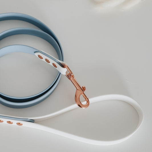 Handmade Waterproof Blue&White Pet leash. Personalizable with pet's name 