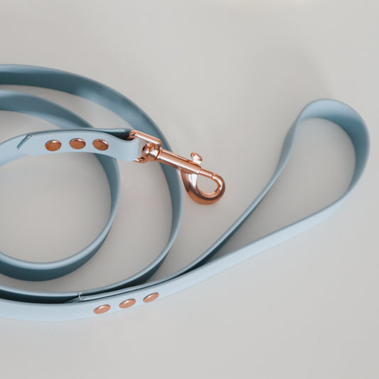Handmade Waterproof Pet leash. Personalizable with pet's name 