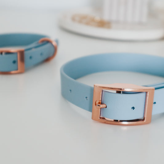 Waterproof Collar ─ Bluebell