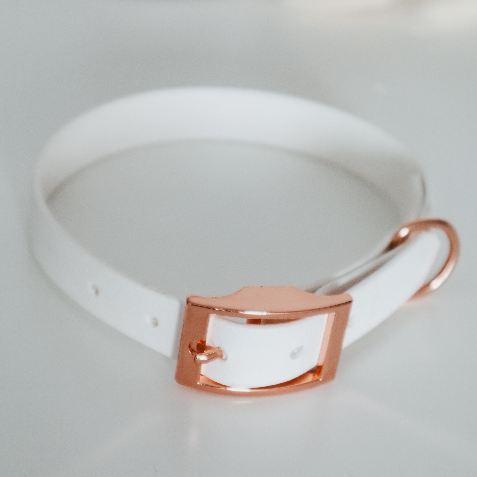 Handmade Waterproof White Pet Accessories set -  Collar and leash. Personalizable with pet's name 