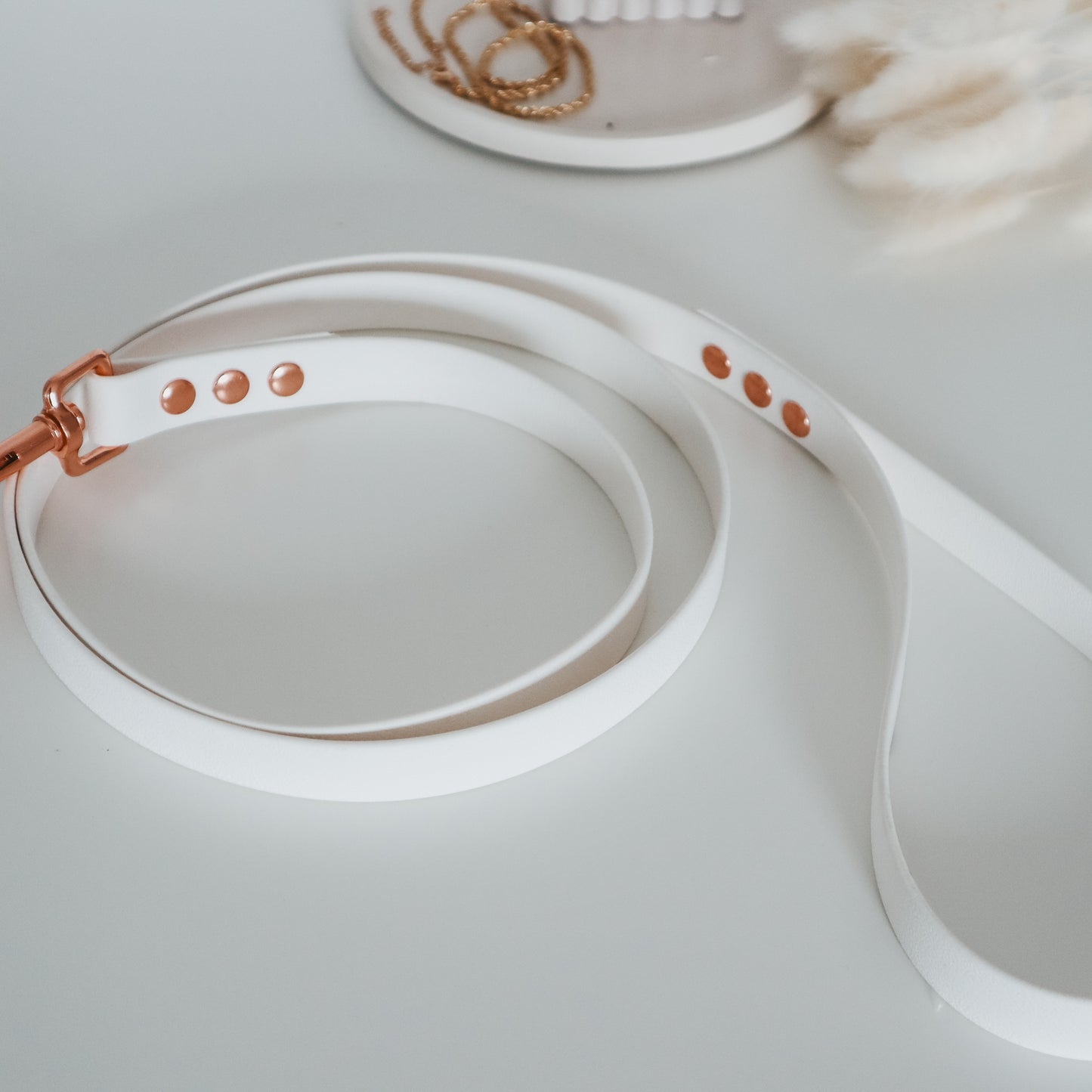 Handmade Waterproof White Pet Accessories set -  Collar and leash. Personalizable with pet's name 