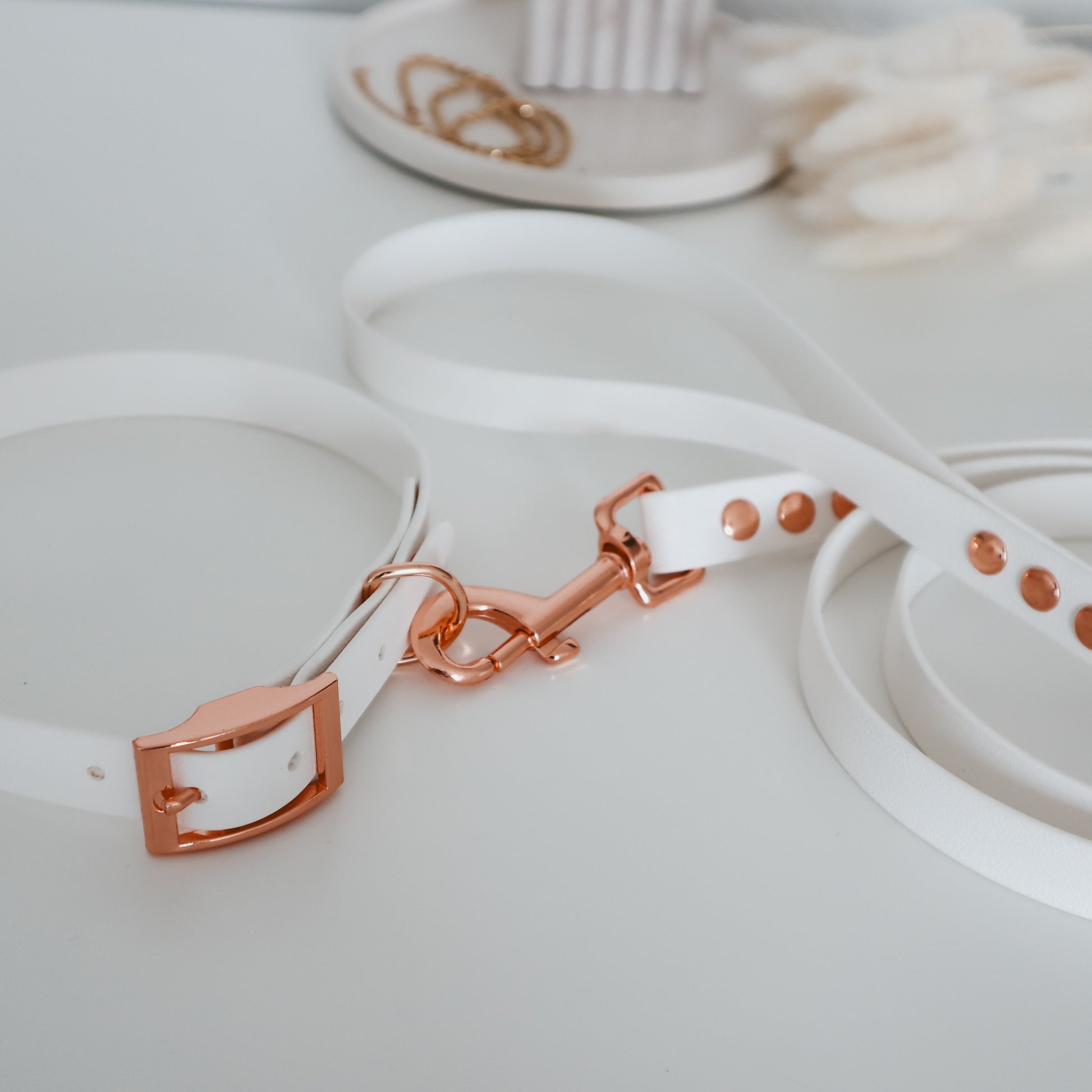 Handmade Waterproof White Pet Accessories set -  Collar and leash. Personalizable with pet's name 